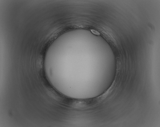 X0000116580174200912241701