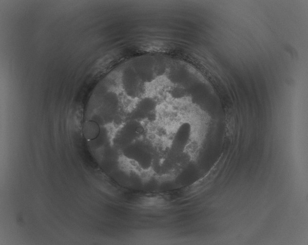 X0000116580175200912241701