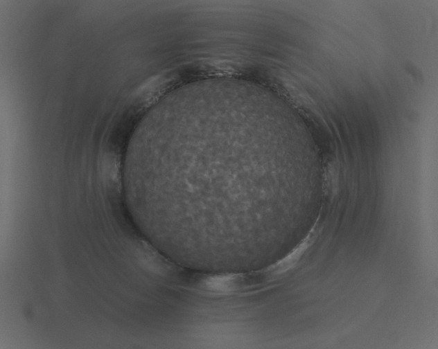 X0000116580178200912241701