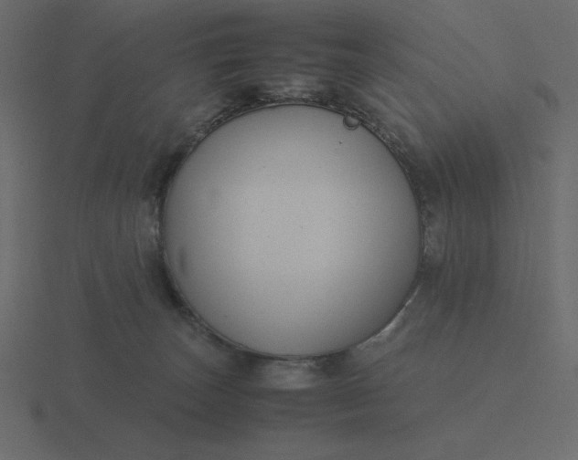 X0000116580179200912241701