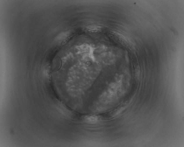 X0000116580181200912241701