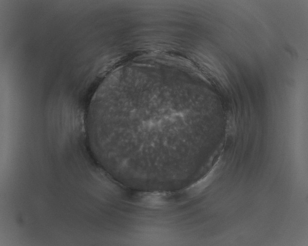 X0000116580182200912241701