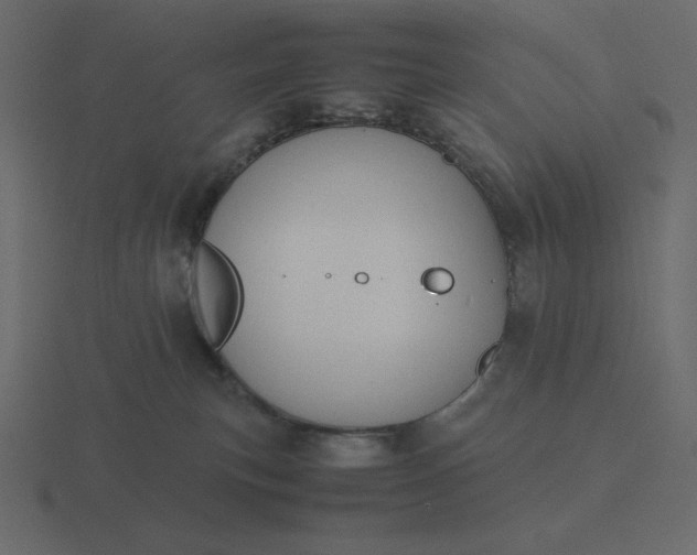 X0000116580183200912241701