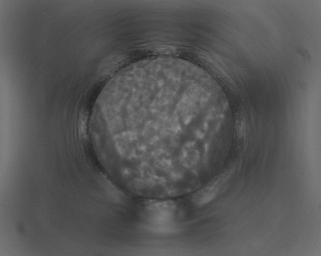 X0000116580185200912241701