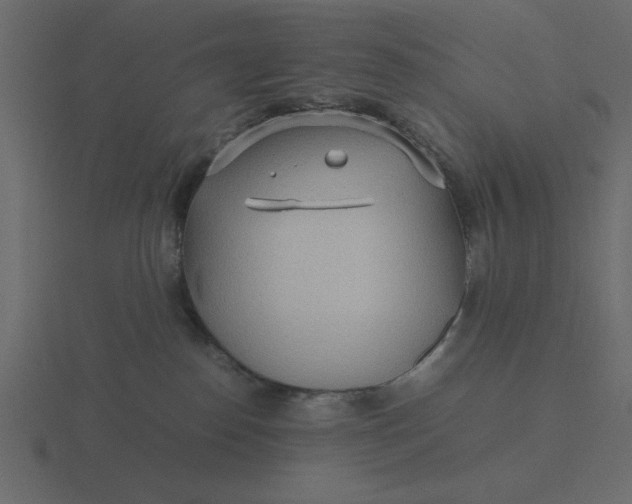 X0000116580186200912241701