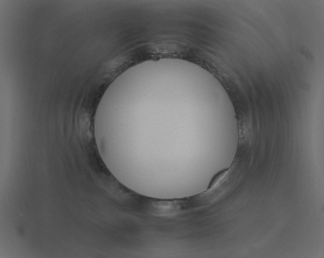 X0000116580187200912241701