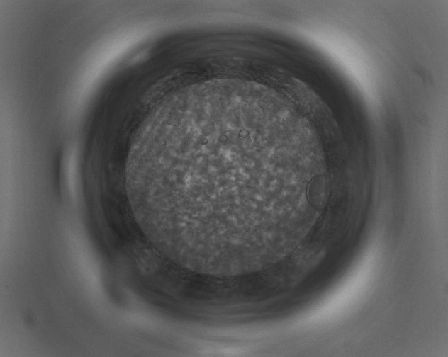 X0000116580189200912241701