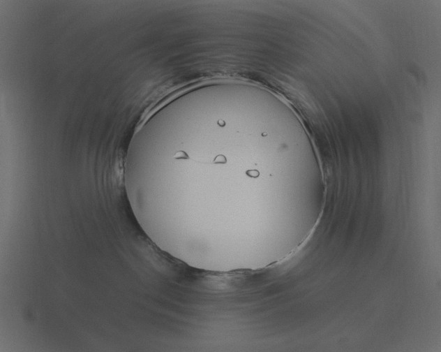 X0000116580190200912241701