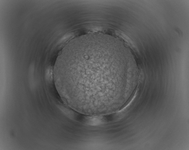 X0000116580191200912241701