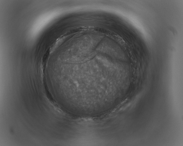 X0000116580194200912241701