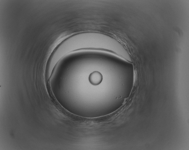 X0000116580195200912241701