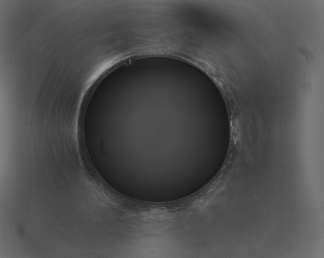 X0000116580196200912241701