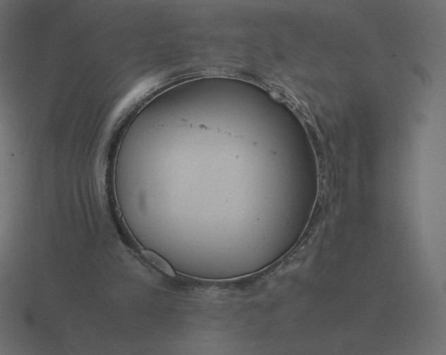 X0000116580197200912241701