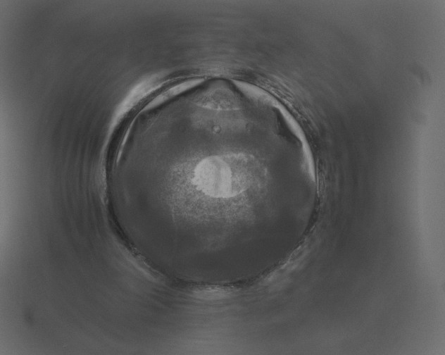 X0000116580198200912241701