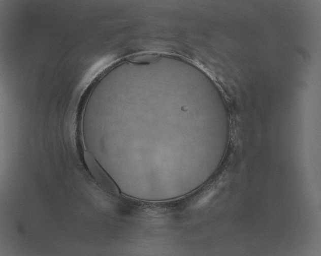 X0000116580199200912241701