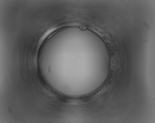 X0000116580200200912241700