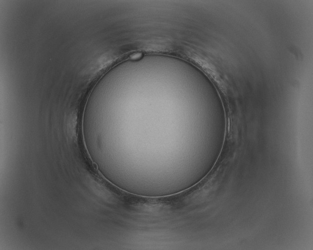 X0000116580201200912241700