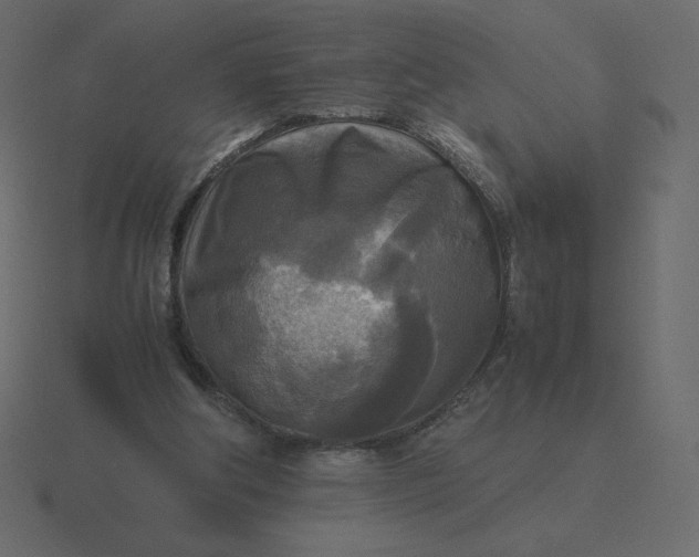 X0000116580202200912241700