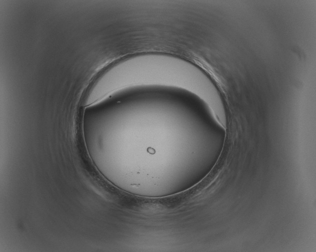 X0000116580203200912241700