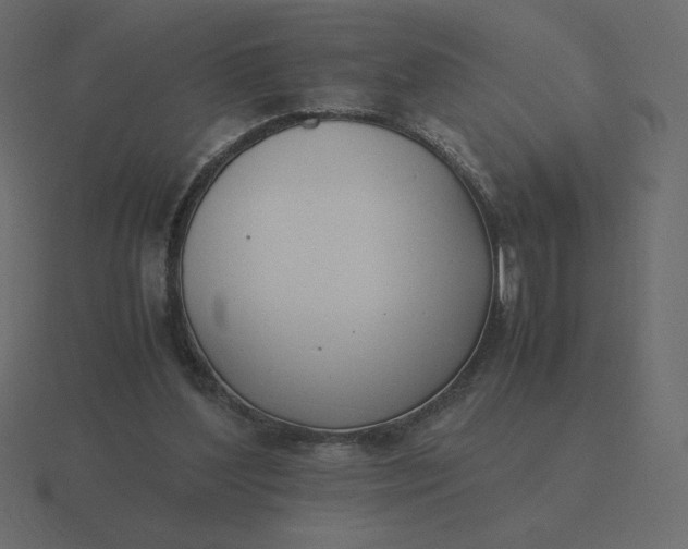 X0000116580204200912241700