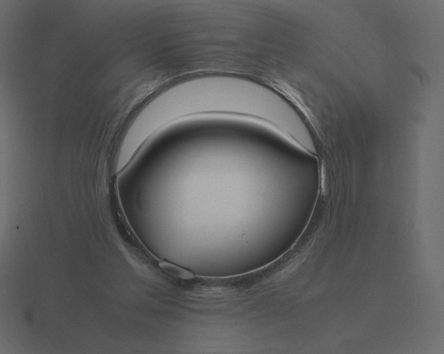 X0000116580205200912241700