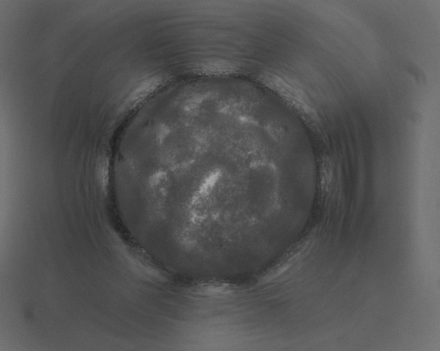 X0000116580206200912241700