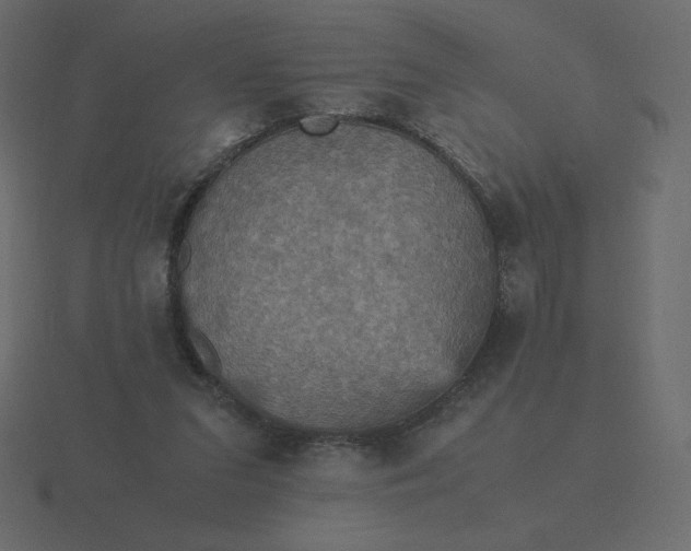 X0000116580207200912241700