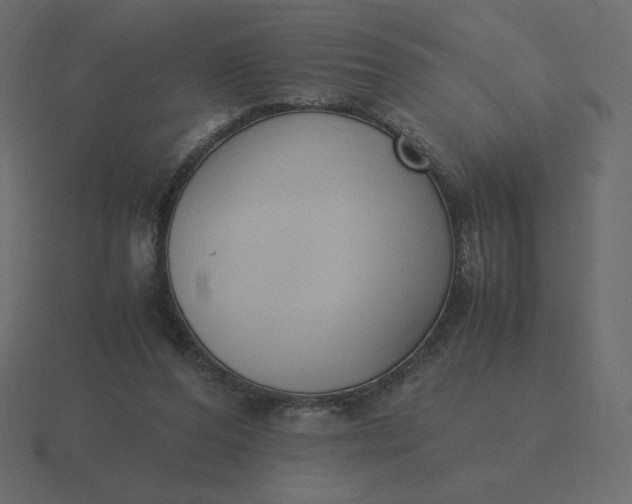 X0000116580208200912241700