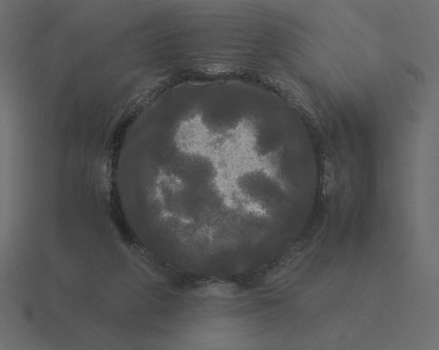 X0000116580210200912241700