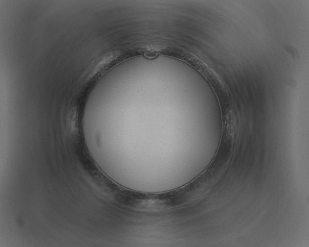 X0000116580212200912241700