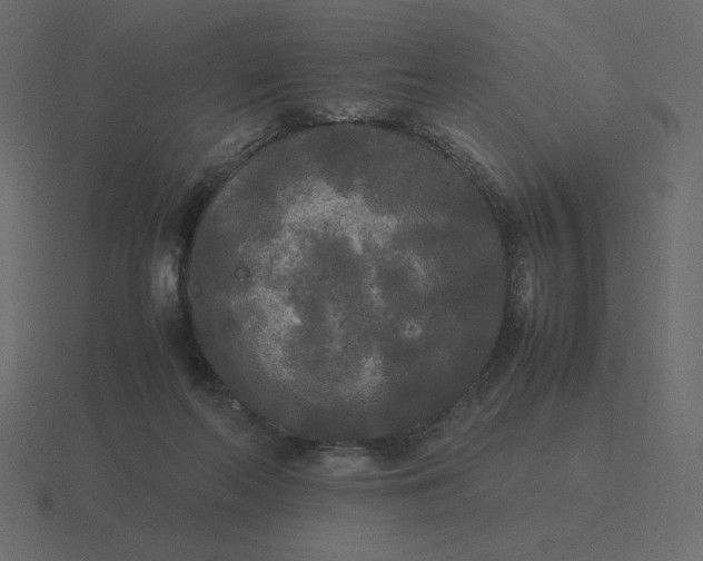 X0000116580214200912241700