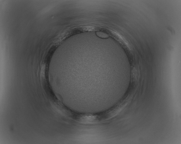 X0000116580217200912241700