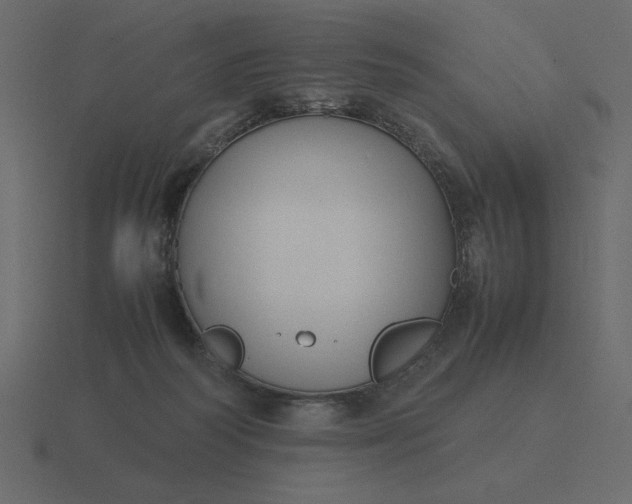 X0000116580218200912241700