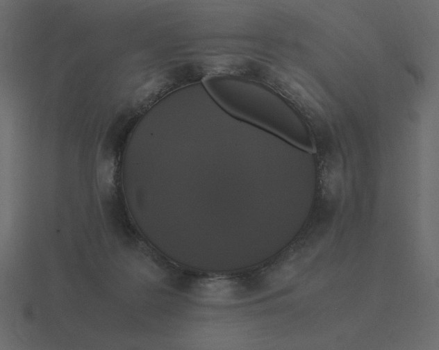 X0000116580219200912241700