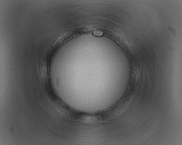 X0000116580220200912241700