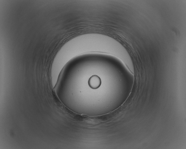 X0000116580221200912241700