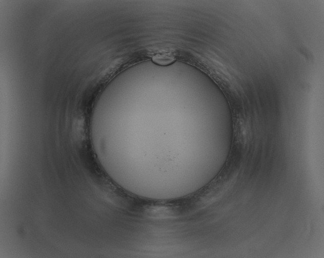 X0000116580224200912241700