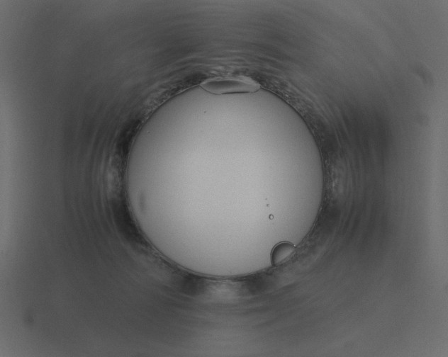 X0000116580226200912241700