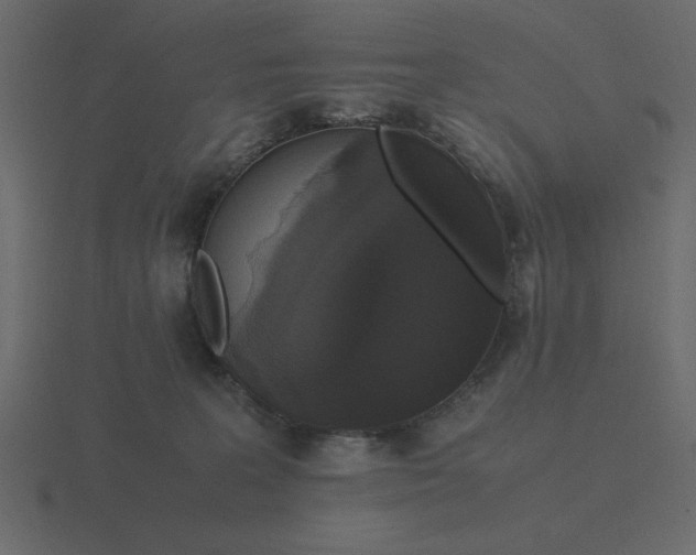 X0000116580227200912241700