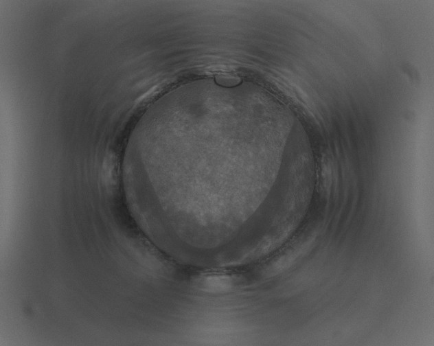 X0000116580228200912241700