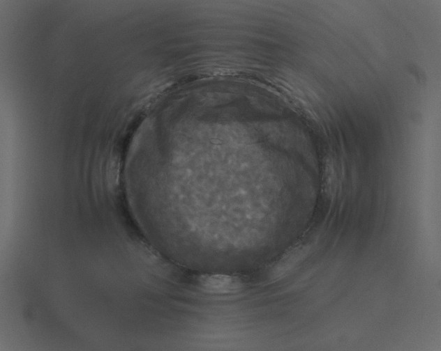 X0000116580230200912241700