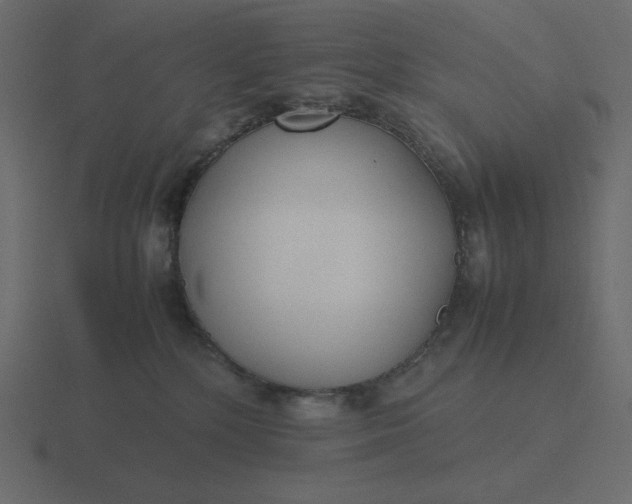 X0000116580232200912241700