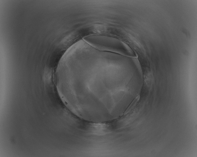 X0000116580233200912241700