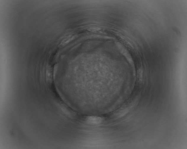 X0000116580234200912241700