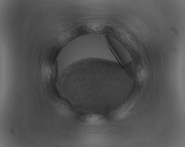 X0000116580235200912241700