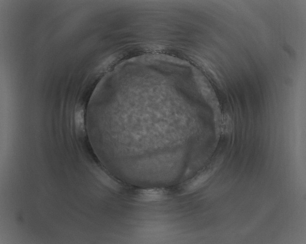 X0000116580238200912241700