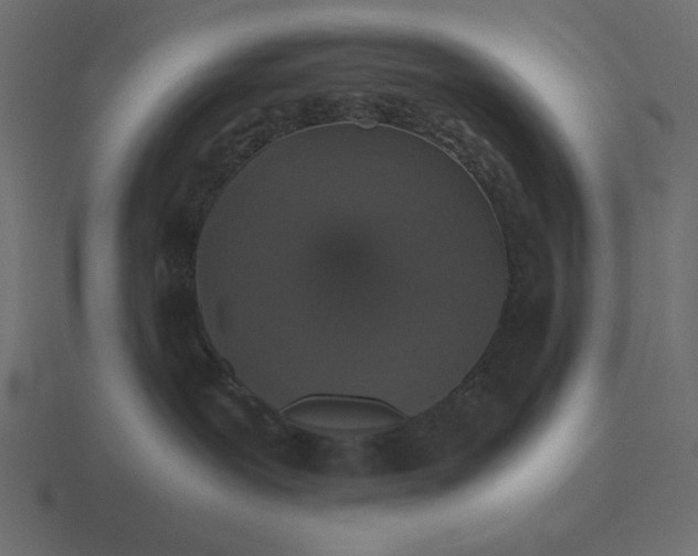 X0000116580239200912241700