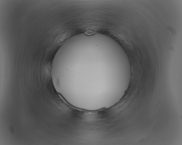 X0000116580240200912241700