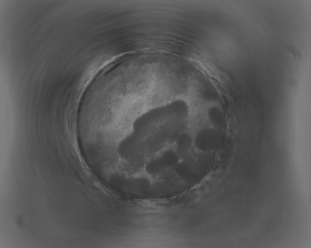 X0000116580241200912241659