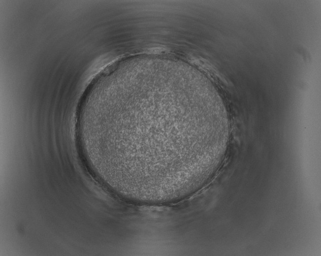 X0000116580242200912241659